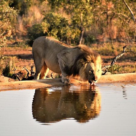 Jamila Game Lodge Ваалвотер Екстер'єр фото