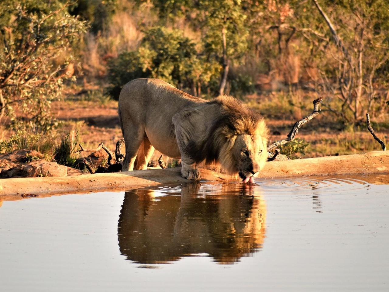 Jamila Game Lodge Ваалвотер Екстер'єр фото